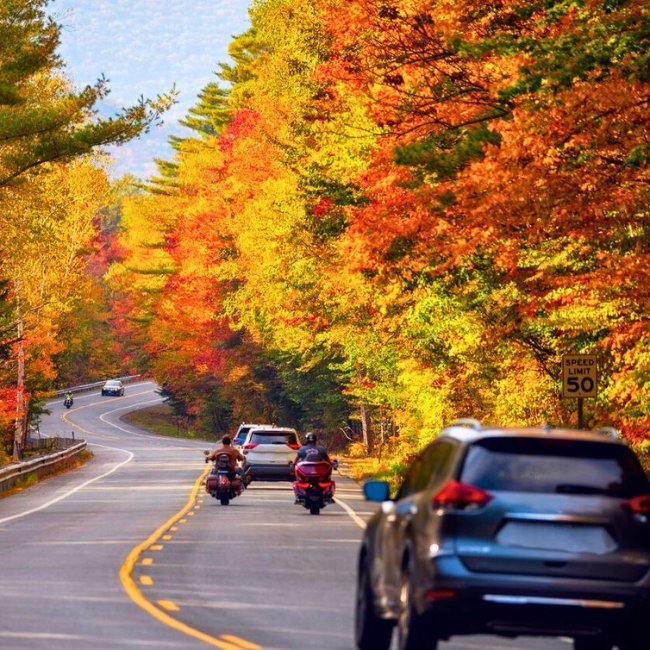 Colors on Parade Tailgates, Road Trips, and Rivalries Protecting Your Vehicle This Fall